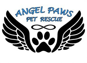 Angel Paws Pet Rescue