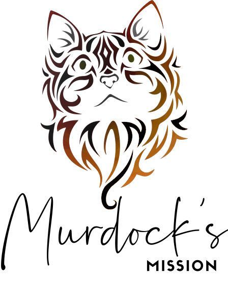 Murdock's Mission