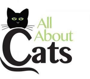 All About Cats