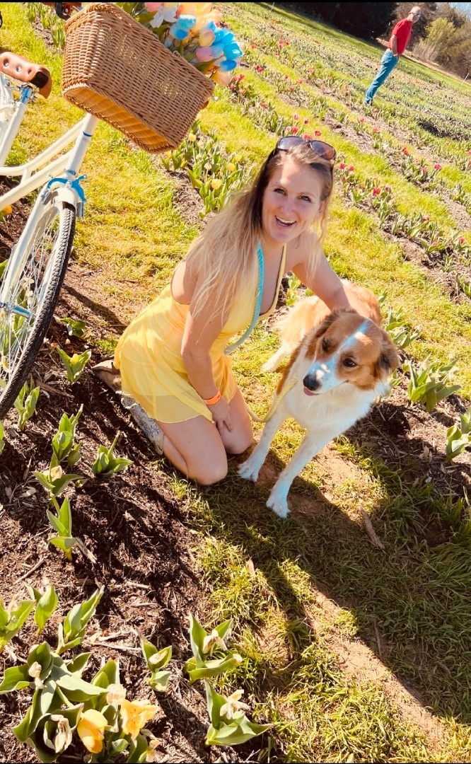 Better Days Dog Rescue