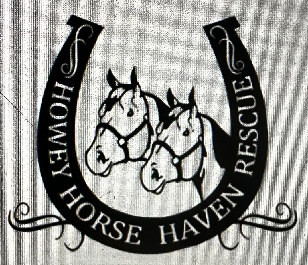 Howey Horse Haven Rescue Paws N Claws Division