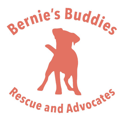 Bernie's Buddies Rescue and Advocates, Inc.