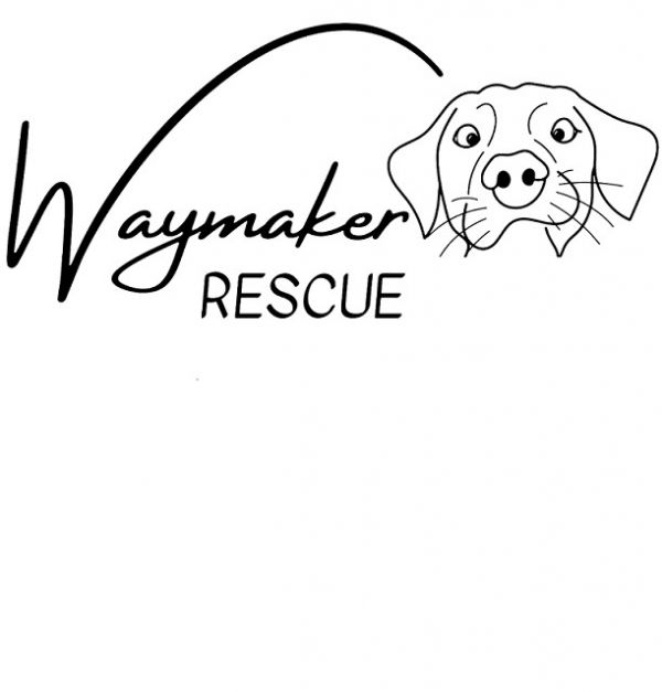 Waymaker Rescue