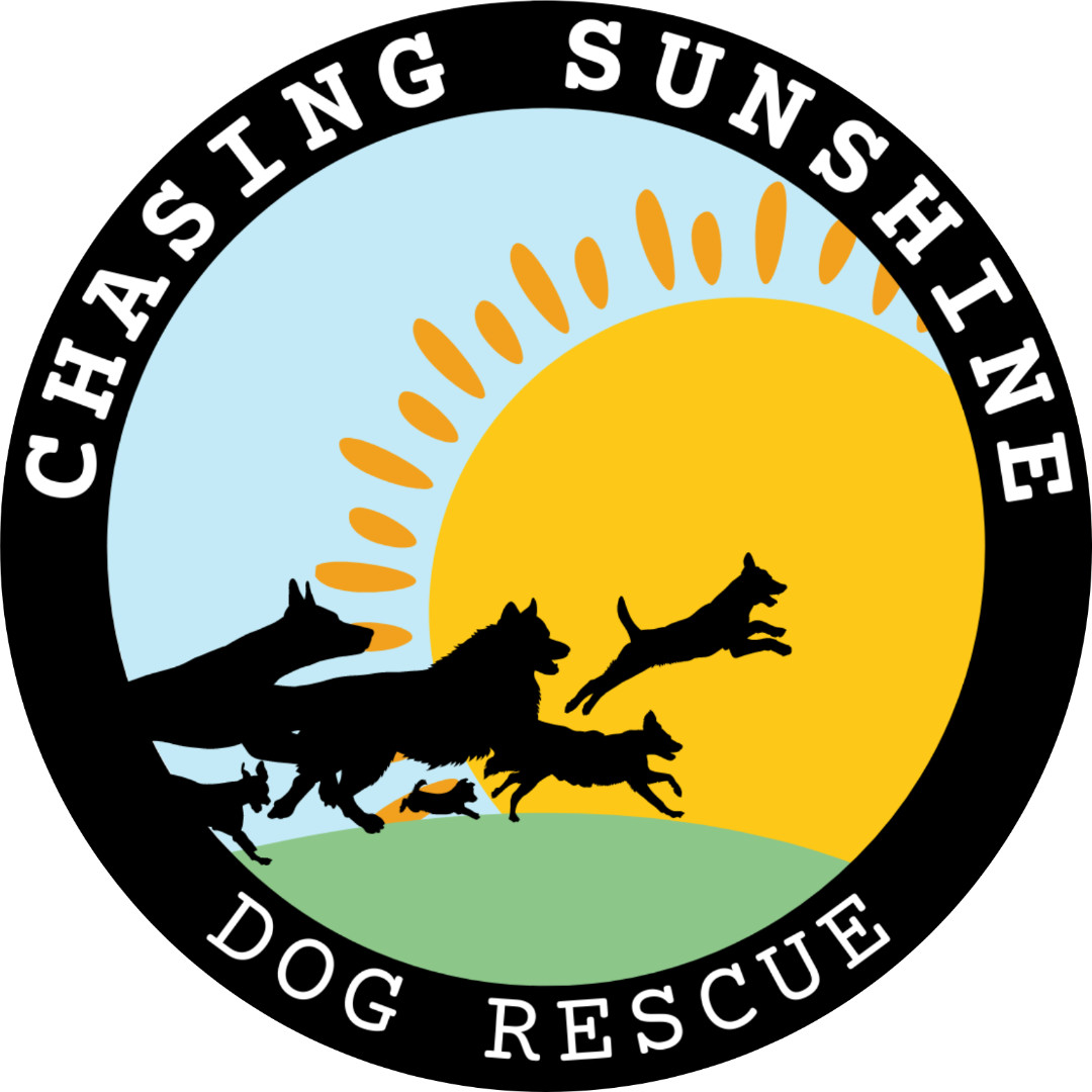 Chasing Sunshine Dog Rescue