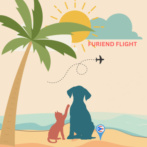 Furiend Flight