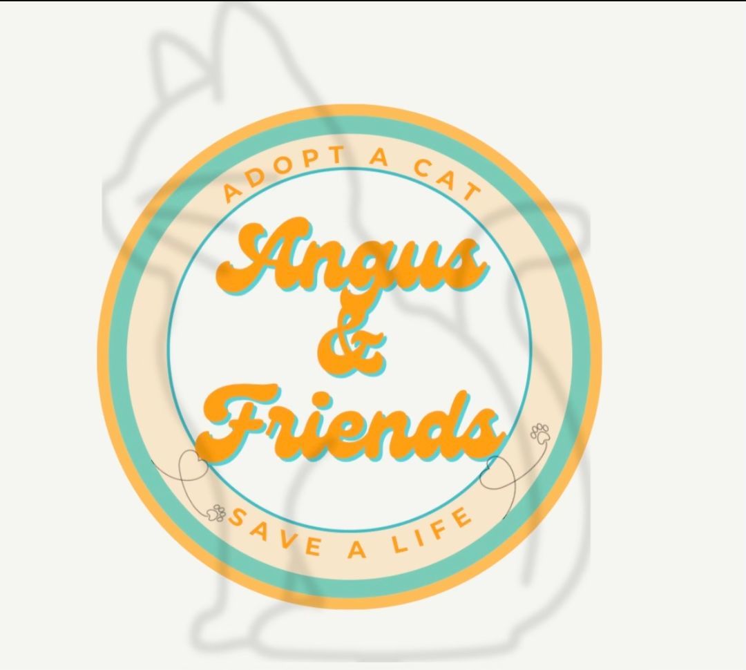 Angus & Friends Cat Rescue