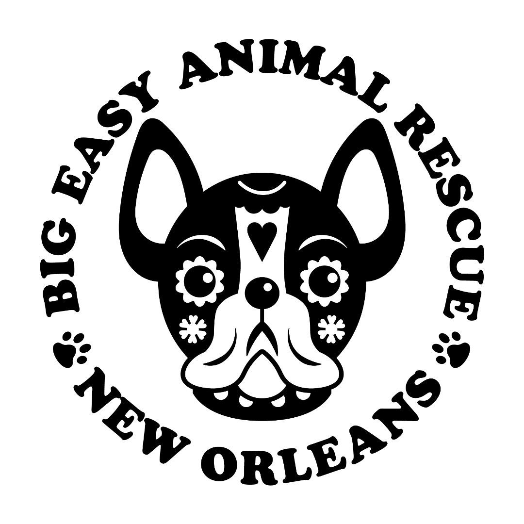 Big Easy Animal Rescue