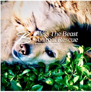 Bless The Beast Animal Rescue