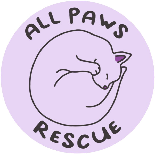 All Paws Rescue Services