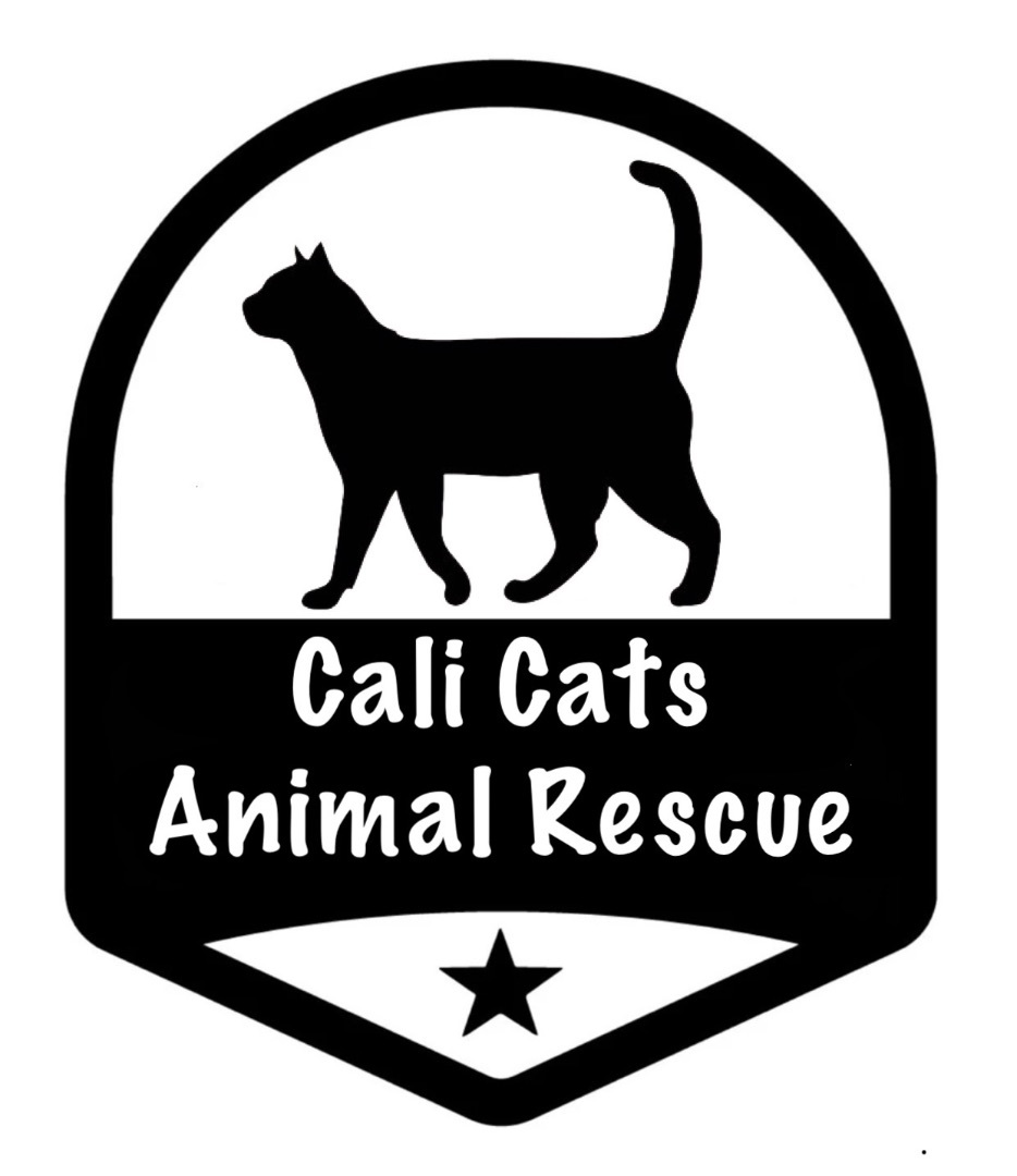 Cali Cats Animal Rescue