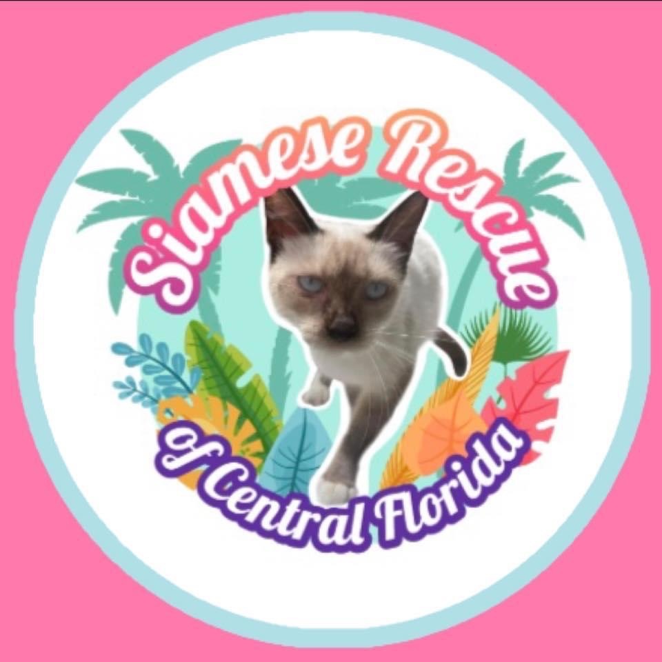 Siamese Rescue of Central Florida, Inc.