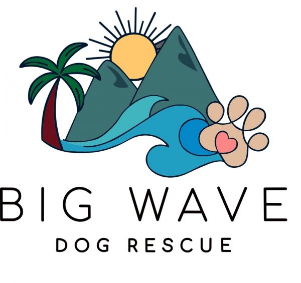 Big Wave Dog Rescue