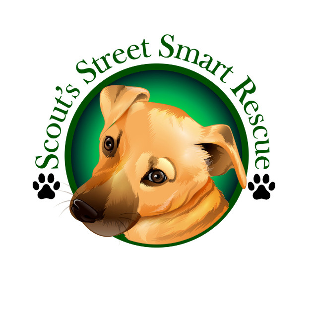 Scout's Street Smart Rescue