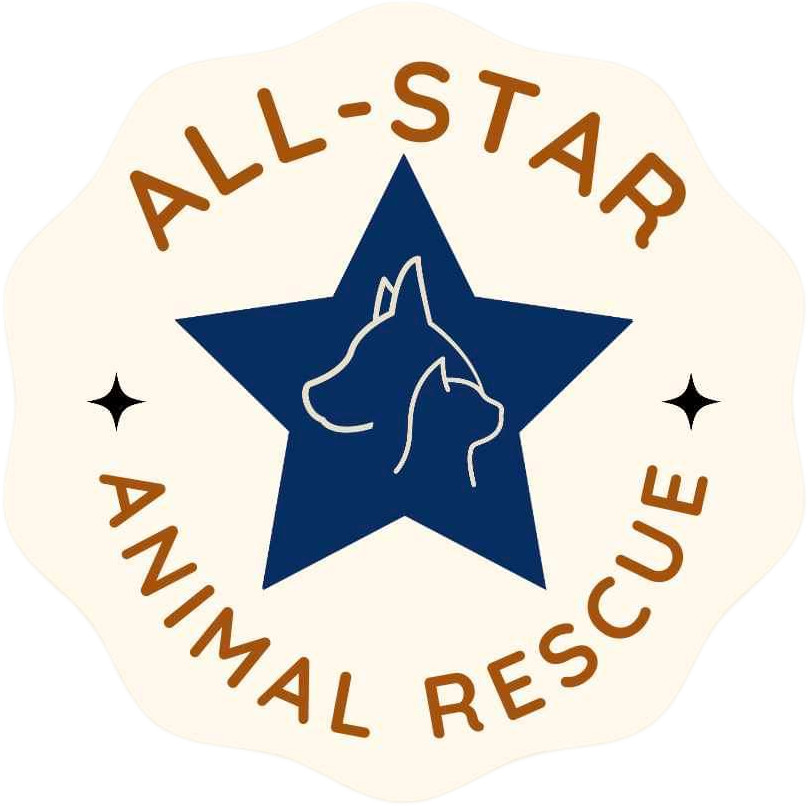 All-Star Animal Rescue