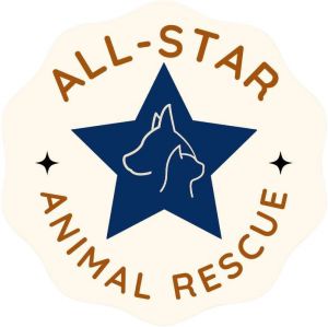 All-Star Animal Rescue