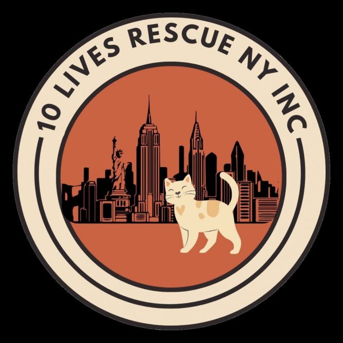 10 Lives Rescue NY