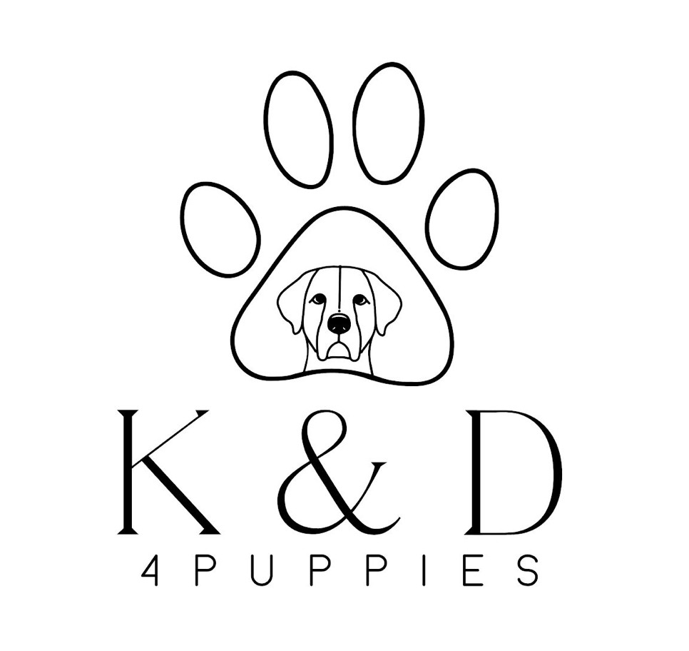 K & D 4 Puppies