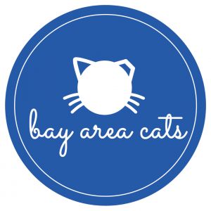 Bay Area Cats