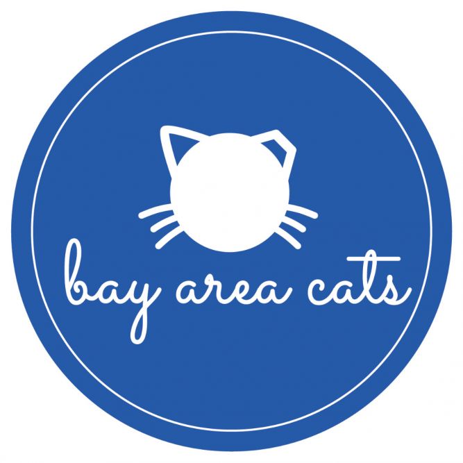 Bay Area Cats