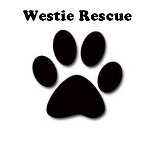Westie Rescue detail page