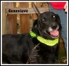 Genevieve photo 1