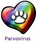 Parvovirus detail page