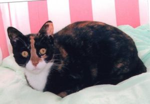 Avvy, Senior Female unknown