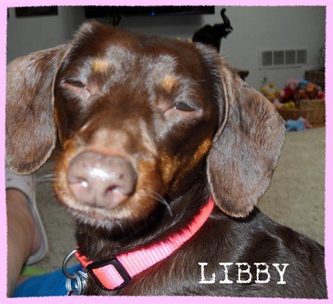 Libby detail page