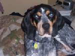 Jethro 1