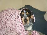 Jethro 2