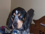 Jethro 3