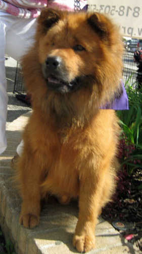 Patch