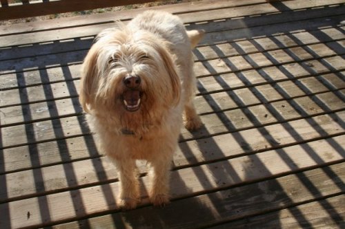 Finnegan 1
