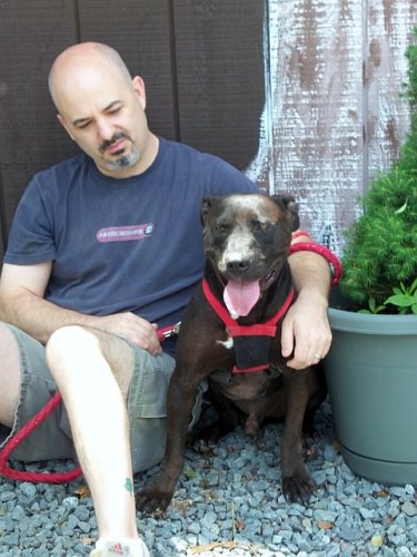 Andy-ADOPTED!!! 3
