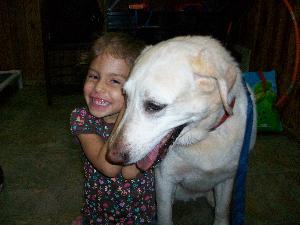 Maris/Clare, an adoptable Yellow Labrador Retriever in Austin, TX, 78708 | Photo Image 2
