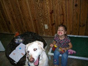 Maris/Clare, an adoptable Yellow Labrador Retriever in Austin, TX, 78708 | Photo Image 3