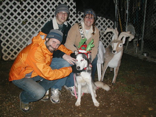 BLAZE-Adopted, an adopted Siberian Husky Mix in Valencia, CA_image-1