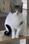 Duncan photo 1
