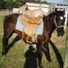Chulita&#39;s Beau photo 2