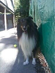 Robbie ADOPTED! 2
