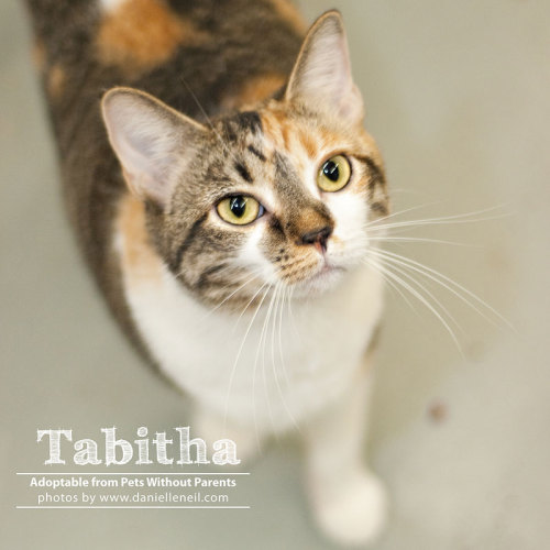 Tabitha 2