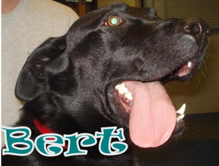 Burt 1