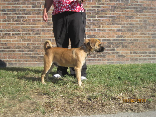 Petey 2