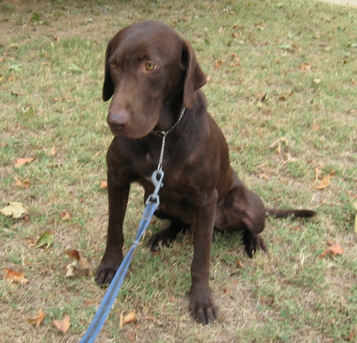 Coco Jack 1