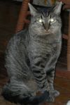 George photo 2