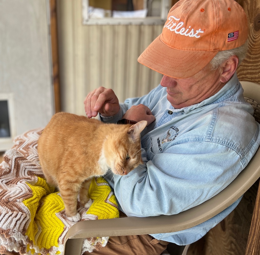 Buck, an adoptable Tabby in Palmyra, VA, 22963 | Photo Image 6