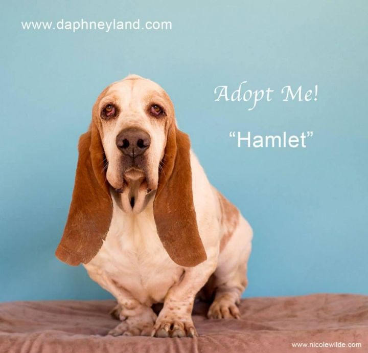 Hamlet 3
