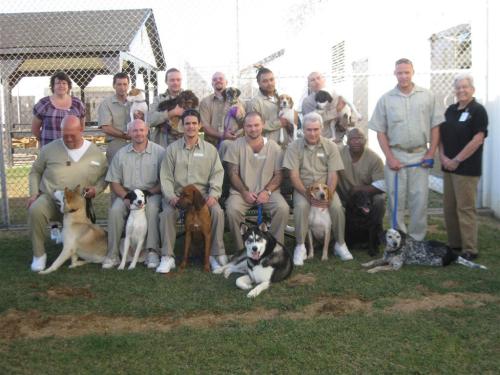 Camp Canine Dogs 1
