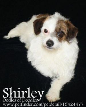 NJ - Shirley