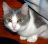 Serge photo 1